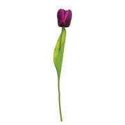 Purple Tulip Stem - 15.5"