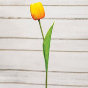 Sunrise Tulip Stem - 15.5"