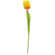 Sunrise Tulip Stem - 15.5"