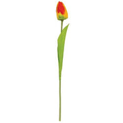 Sunset Tulip Stem - 15.5"