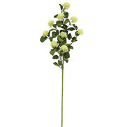 Calistoga Spray - 29" - Cream