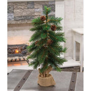 Royal Oregon Pine Tree With Burlap Base - 24"