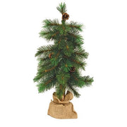 Royal Oregon Pine Tree With Burlap Base - 24"