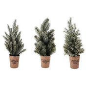 Large Frosted Tree with Paper Cup  (3 Count Assortment)