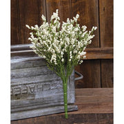 Array Astilbe Bush - Cream