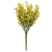 Array Astilbe Bush - Yellow