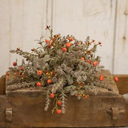 Pumpkin Berry Half Sphere - Pumpkin