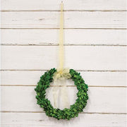 Preserved Boxwood Wreath - 10"