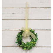 Preserved Boxwood Wreath - 6"