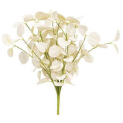 Foamy Silver Dollar Bush - Cream - 12"