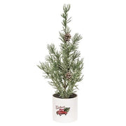 Mini Alpine Tree In "Merry Christmas" Truck Pot