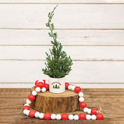 Mini Cypress Tree in "Fresh Cut Trees" Pot