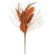 Fall Magnolia - Pine - & Podka Bush