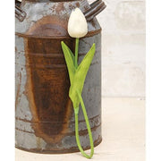 Foamy Tulip Bud Stem - White