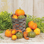 Colorguard Pumpkins & Gourds (16 Pack)