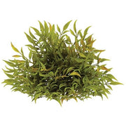 Green Smilax Half Sphere