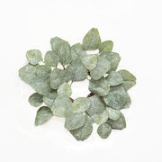 Frosted Dollar Eucalyptus Leaf Candle Ring - 3.5"