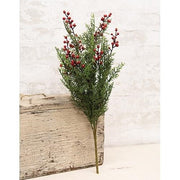 Red Cedar With Berries Bush - 20.5"