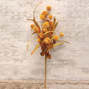 Golden Thistle Top Bush - 20.5"