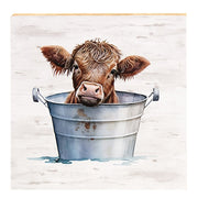 Baby Highland Cow in a Bucket Block