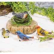 Resin Spring Bird  (4 Count Assortment)