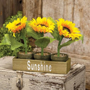 Potted Sunflowers in Wooden Crate (Set of 3)