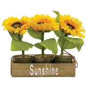 Potted Sunflowers in Wooden Crate (Set of 3)