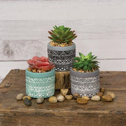 Artificial Succulent in Deco Pot  (3 Count Assortment)