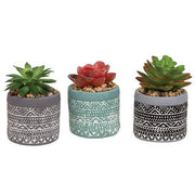 Artificial Succulent in Deco Pot  (3 Count Assortment)