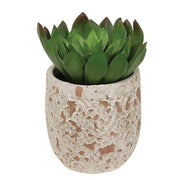 Artificial Succulent in Distressed Cement Pot  (4 Count Assortment)