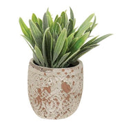 Artificial Succulent in Distressed Cement Pot  (4 Count Assortment)