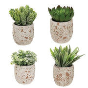 Artificial Succulent in Distressed Cement Pot  (4 Count Assortment)