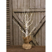 Pre-Lit Birch Tree with 24 Lights - 24"H