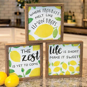 The Zest is Yet to Come Framed Box Sign (3 Count Assortment)