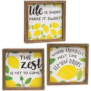 The Zest is Yet to Come Framed Box Sign (3 Count Assortment)