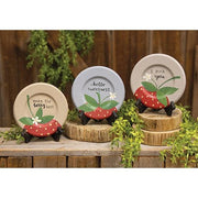 You're the Berry Best Plate  (3 Count Assortment)