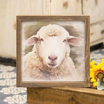 Serious Sheep Framed Print - Wood Frame