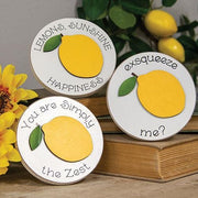 Exsqueeze Me Mini Round Easel Sign (3 Count Assortment)