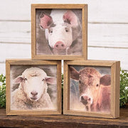 Farm Animal Portrait Frame  (3 Count Assortment)