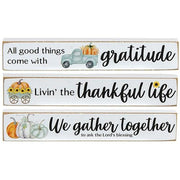 We Gather Mini Stick  (3 Count Assortment)