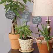 House Plant Sayings Stake  (3 Count Assortment)