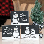 Stay Cool Snowman Block  (3 Count Assortment)