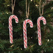 Cozy Sayings Candy Cane Ornament  (3 Count Assortment)