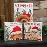 Don't Forget the Dogs Mini Box Sign  (3 Count Assortment)