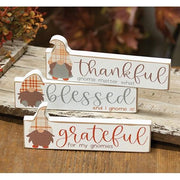 Thankful/Grateful/Blessed Gnome Block  (3 Count Assortment)