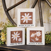 Bloom As You Are Daisy Layered Block  (3 Count Assortment)