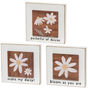 Bloom As You Are Daisy Layered Block  (3 Count Assortment)