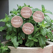 Super Needy Houseplant Poke  (4 Count Assortment)