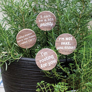 I'm Rooting For You Houseplant Poke  (4 Count Assortment)