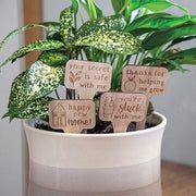 You're Stuck With Me House Plant Poke  (4 Count Assortment)